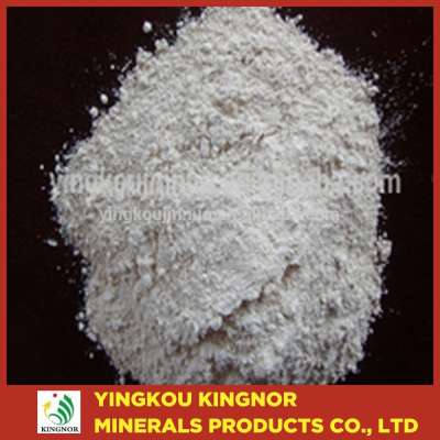 Caustic Calcined Magnesite Powder/CCM/ Light Burnt Magnesite MGO